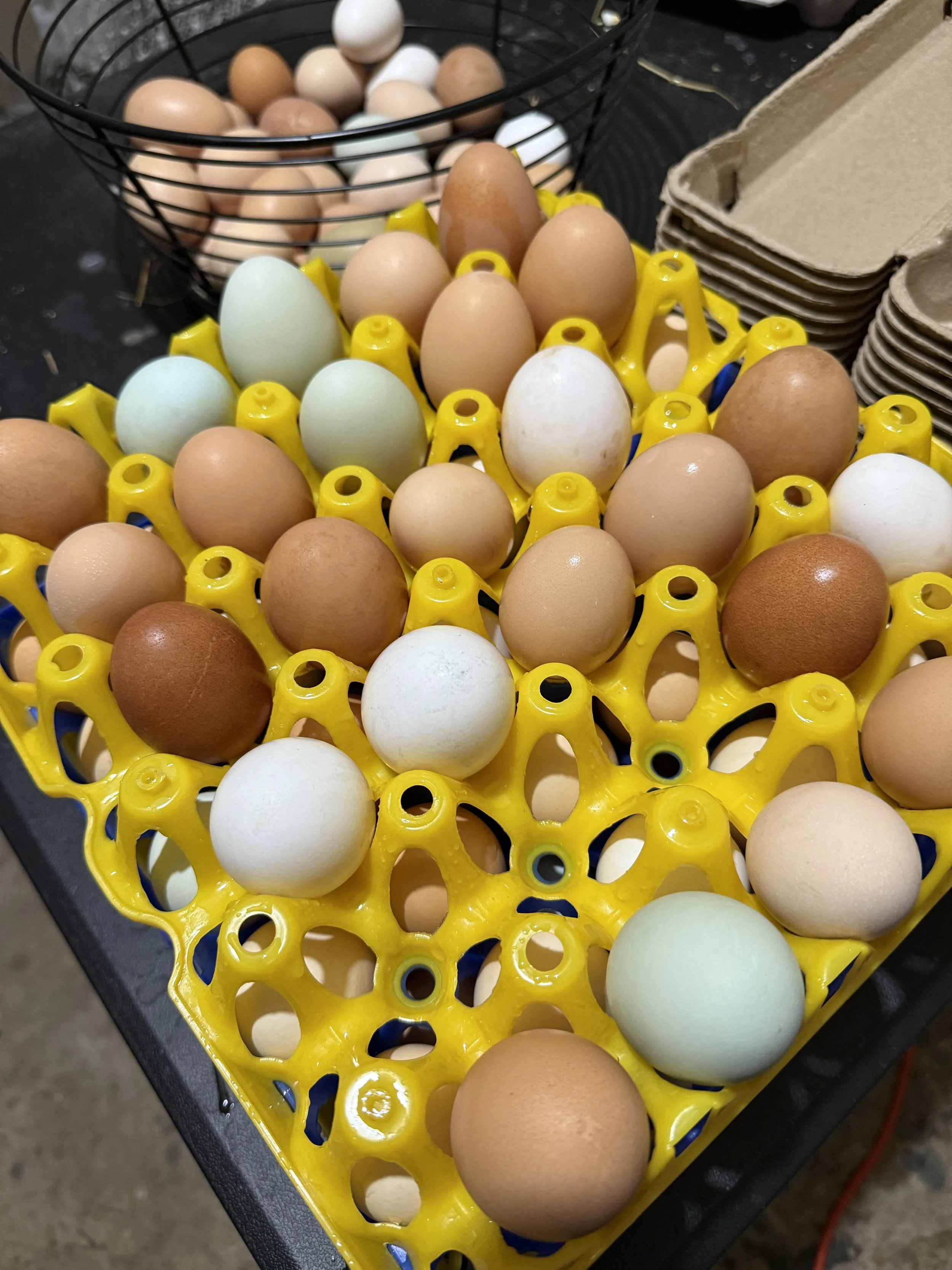 A yellow egg tray with various brown, white, and light blue eggs stacked on a table, with a wire basket of eggs in the background and paper egg cartons to the side.