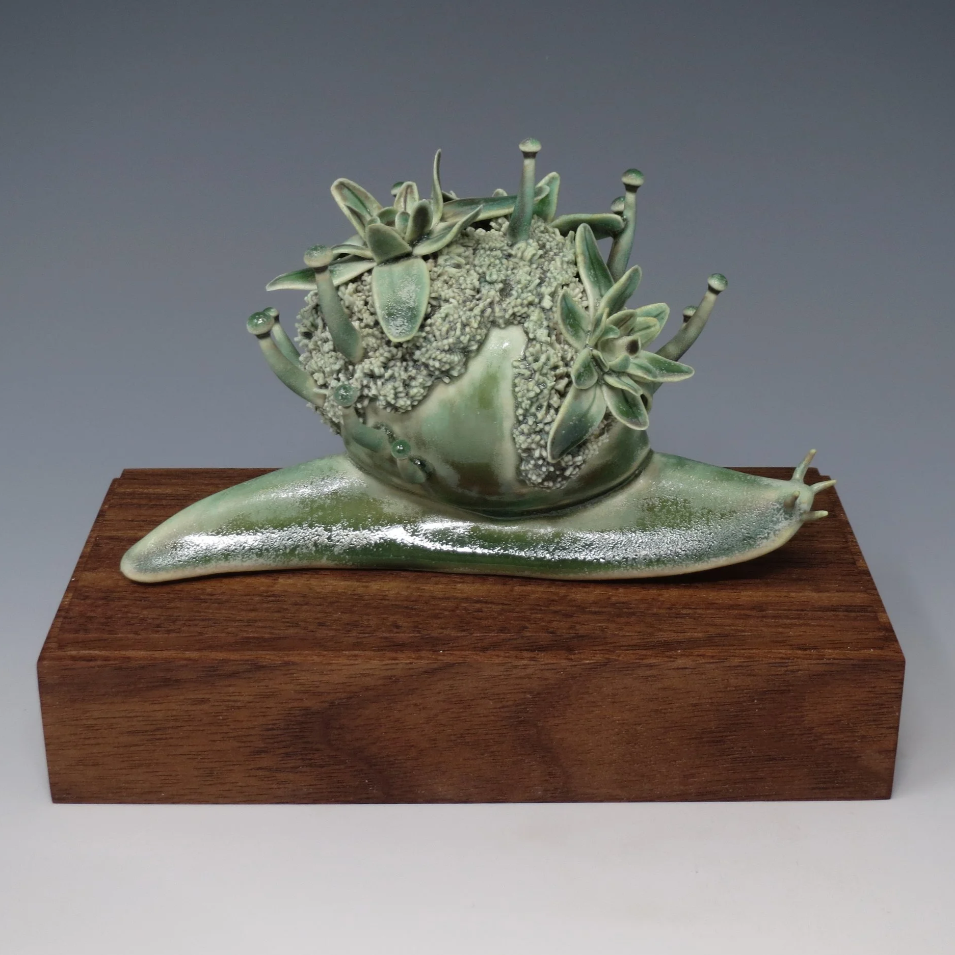 Weathered Bloom 2024