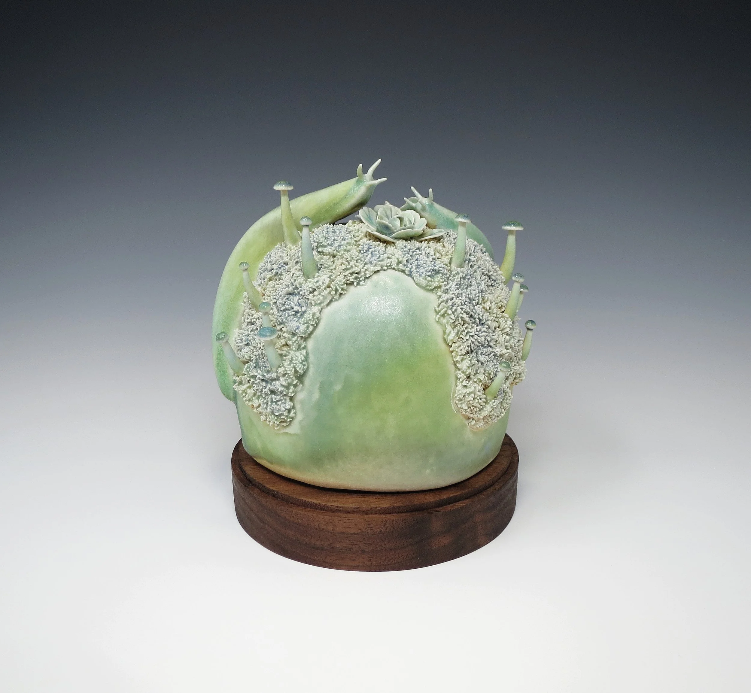 Slugs in Repose II 2024