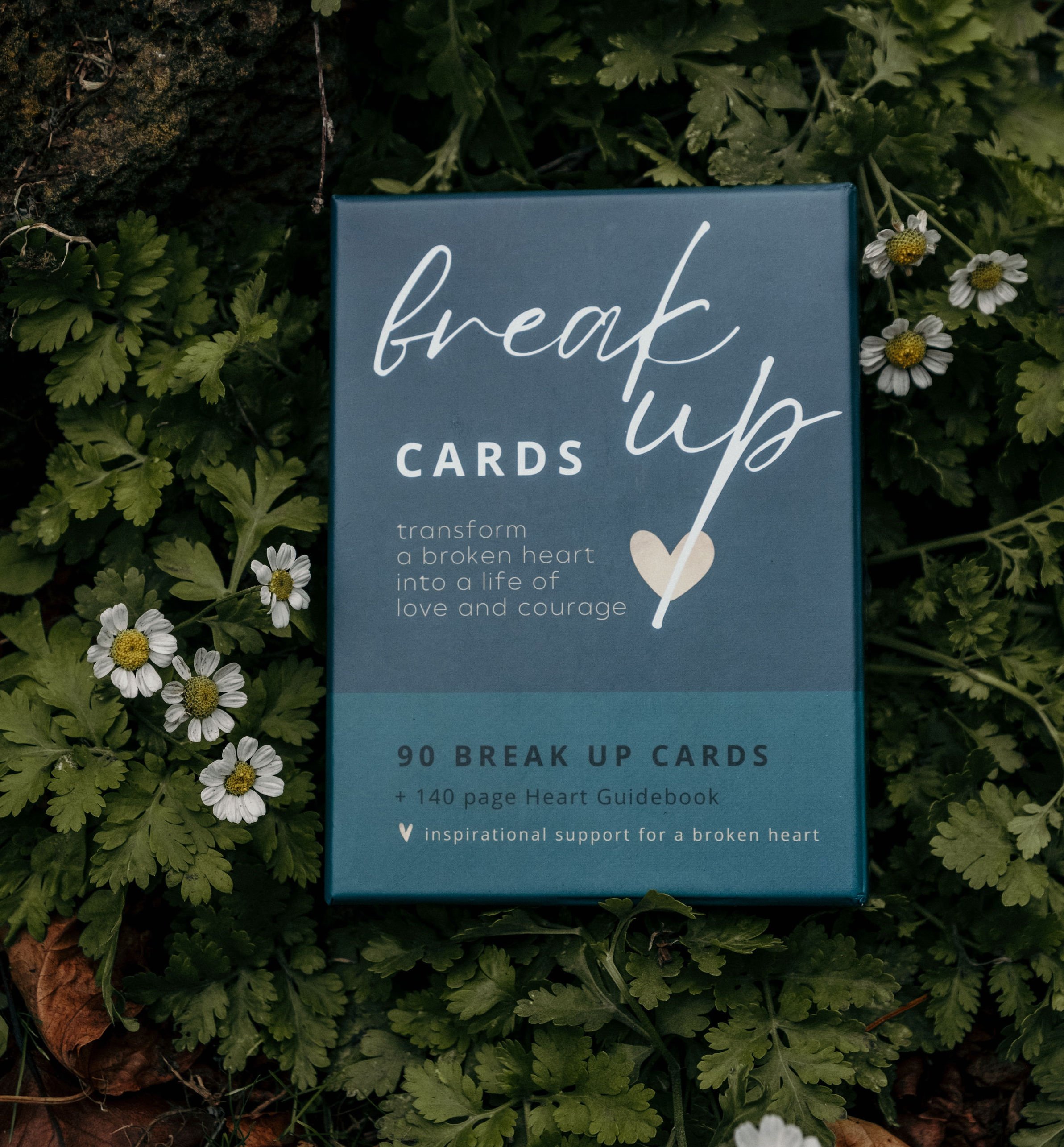 BU cards garden.jpg