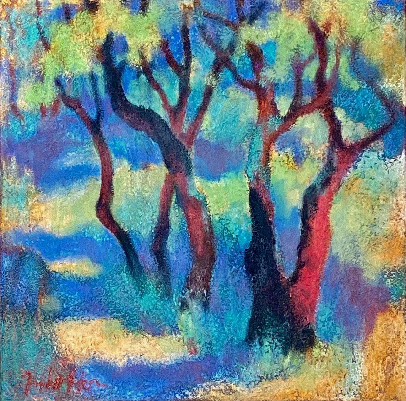 Path through Madrones