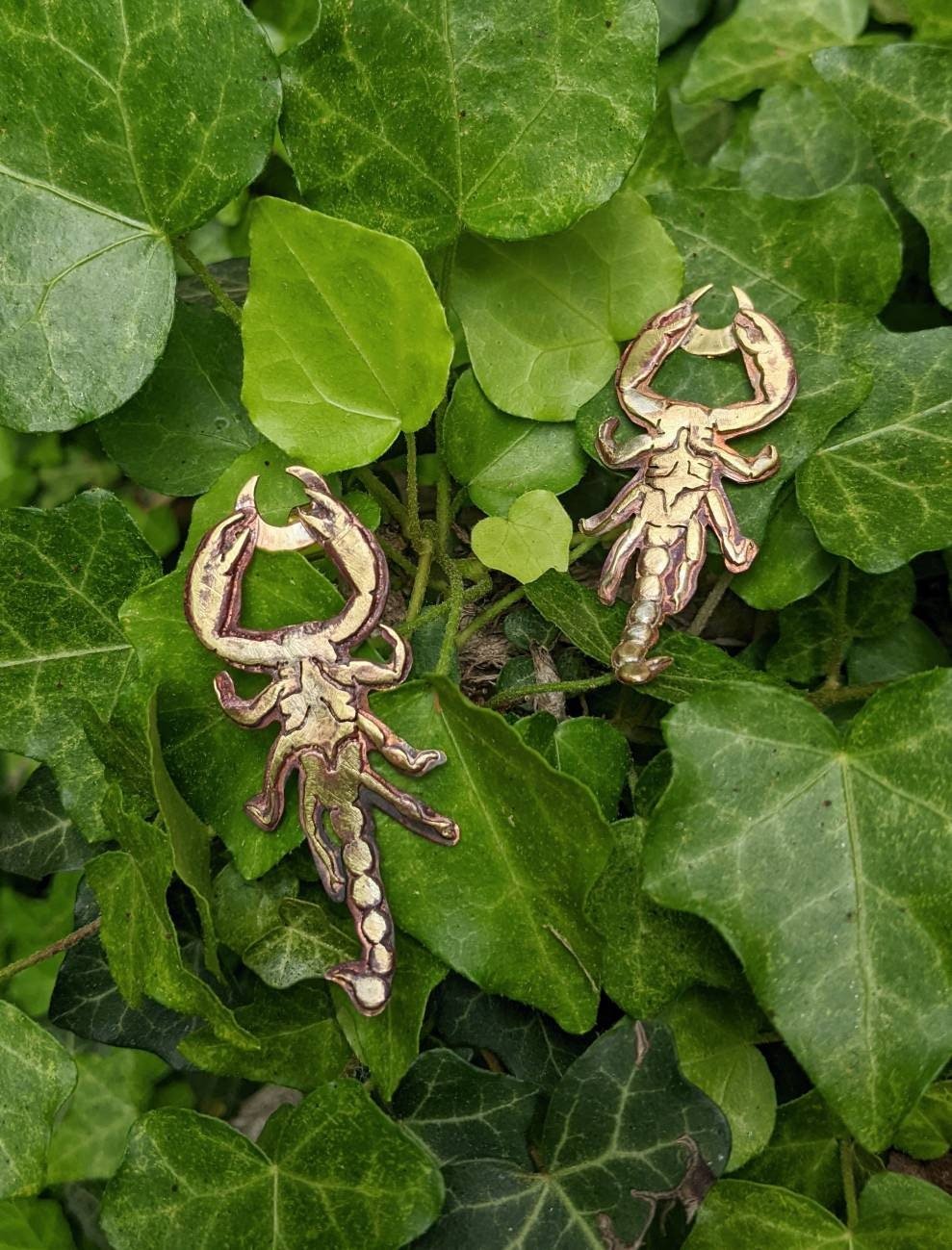https://i.etsystatic.com/27033376/r/il/b5f46b/3950536505/il_fullxfull.3950536505_6z4q.jpg