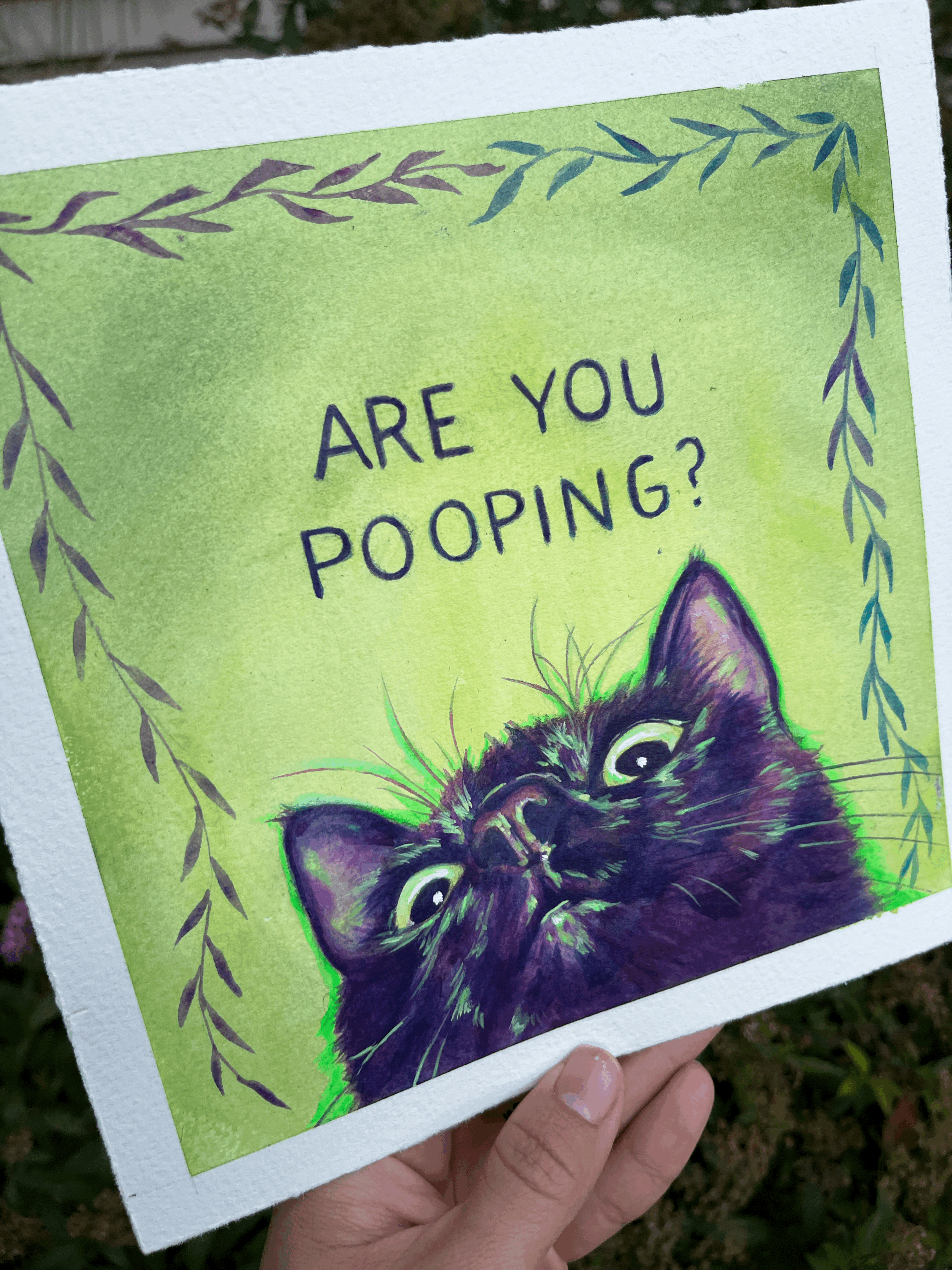 tempImageMbfhgp.gif