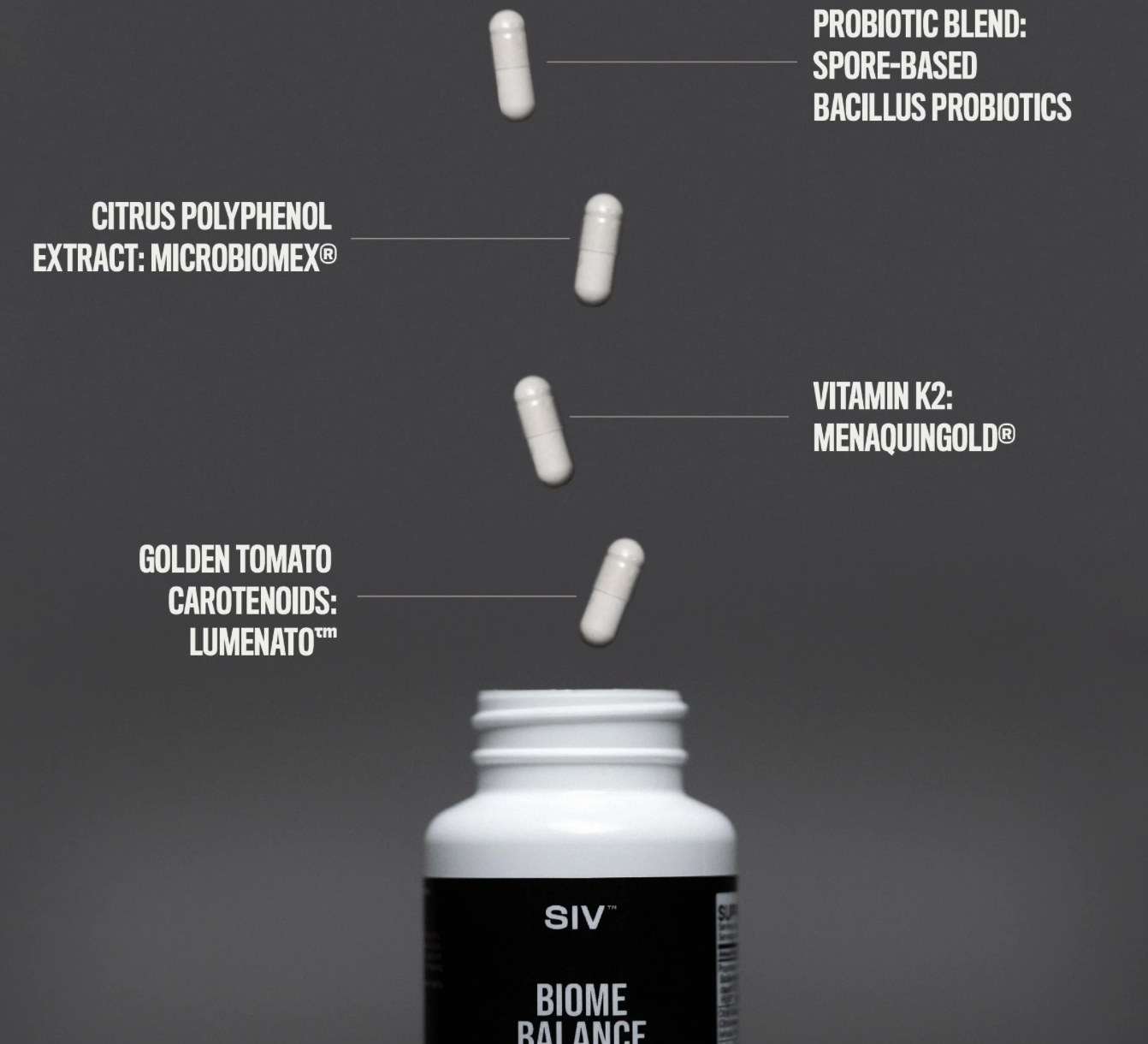 Screenshot 2025-11-28 at 11.24.53 PM.png