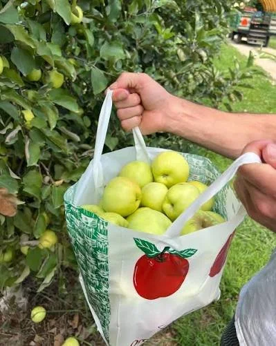Triple B Apple Picking