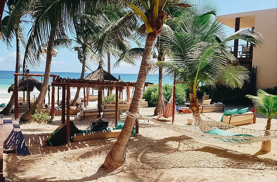 Beach with palm trees, hammocks, lounge chairs, cabanas, and ocean view.