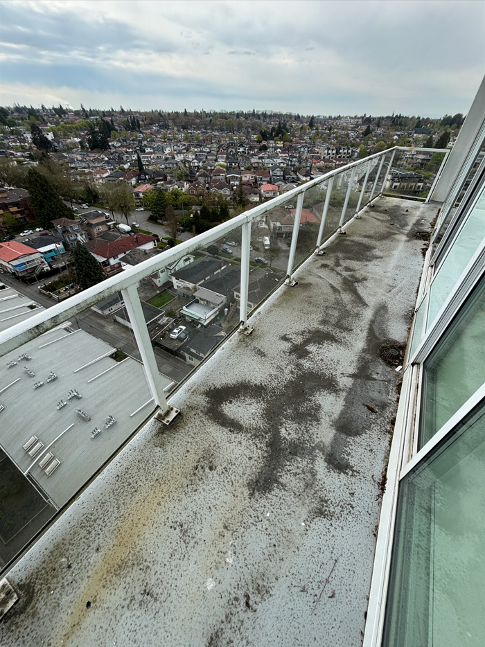 Before BalcoScrub balcony deep clean