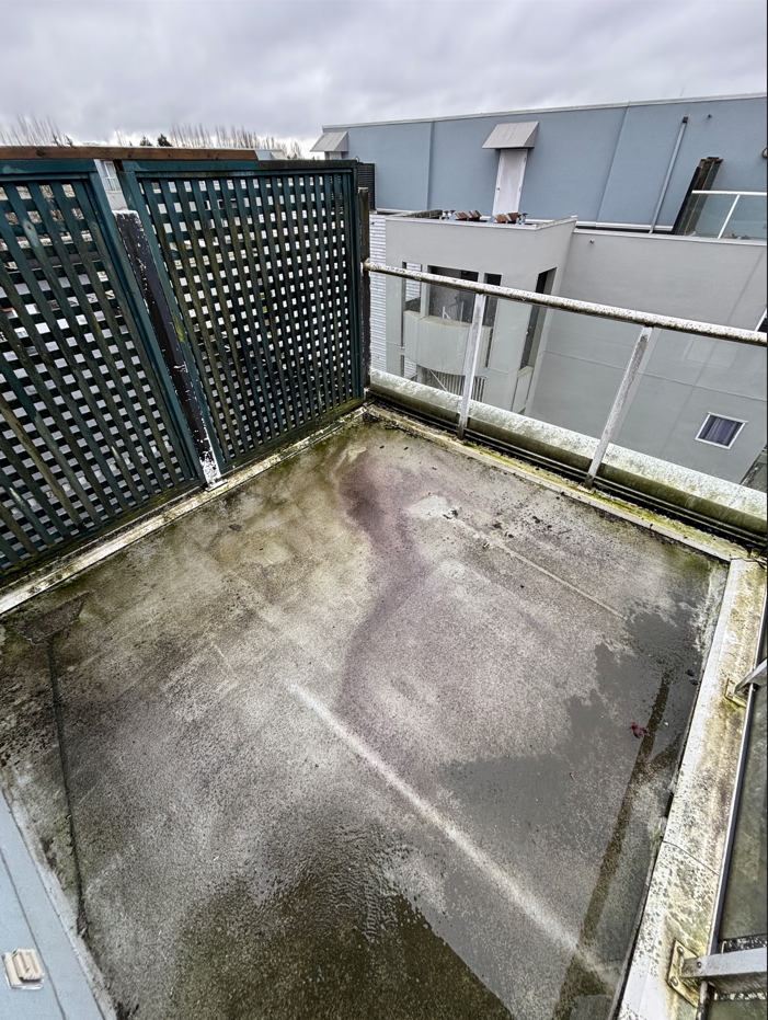 Damp rooftop terrace with mossy concrete and a wooden lattice fence. Overcast sky and residential building backdrop. Somber, neglected atmosphere.
