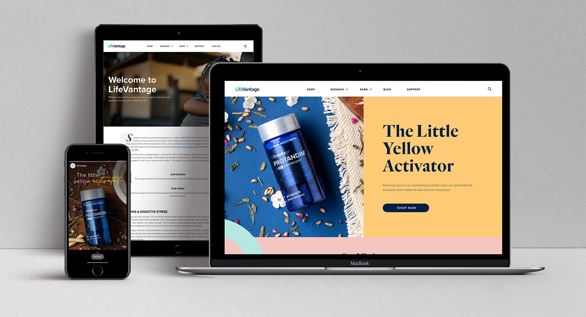 LVFN Little Things Campagin-1.jpg