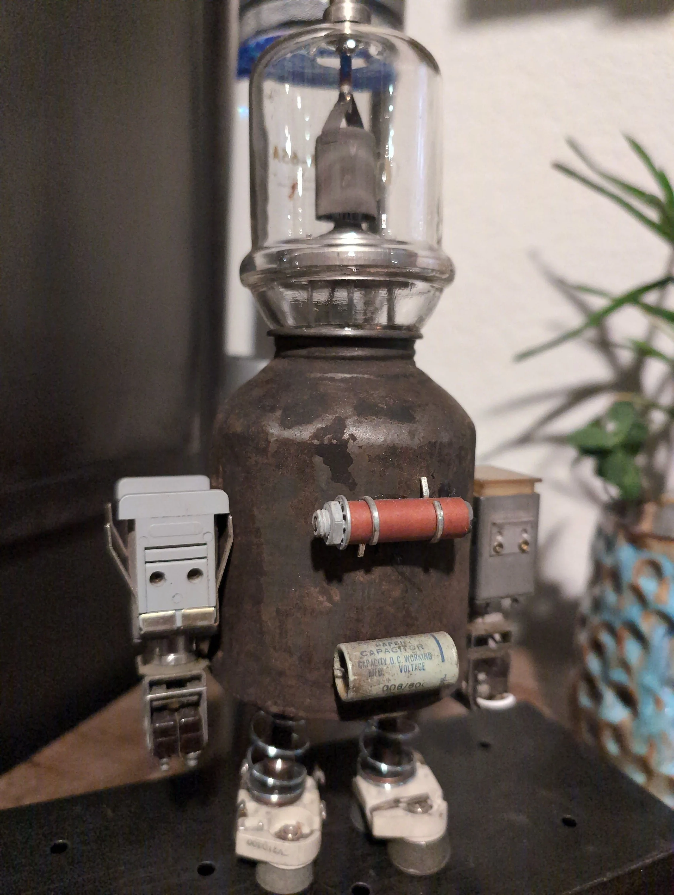 https://i.etsystatic.com/50783383/r/il/dd12a2/5829534698/il_fullxfull.5829534698_ccxi.jpg