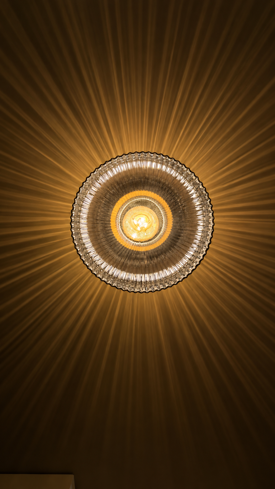 ChatGPT Image Sep 16, 2026 at 03_26_53 PM.png