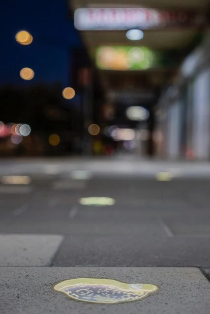 CAC_Lynda Draper Shimmer_058_NicSmith.jpeg