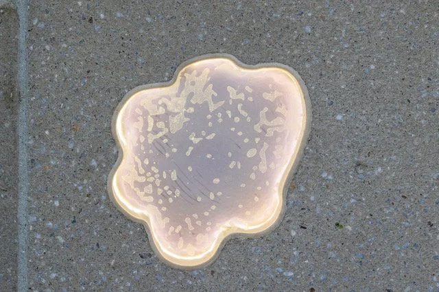 CAC_Lynda Draper Shimmer_030_NicSmith.jpeg