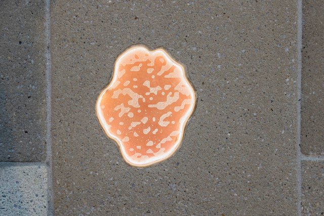 CAC_Lynda Draper Shimmer_069_NicSmith.jpeg