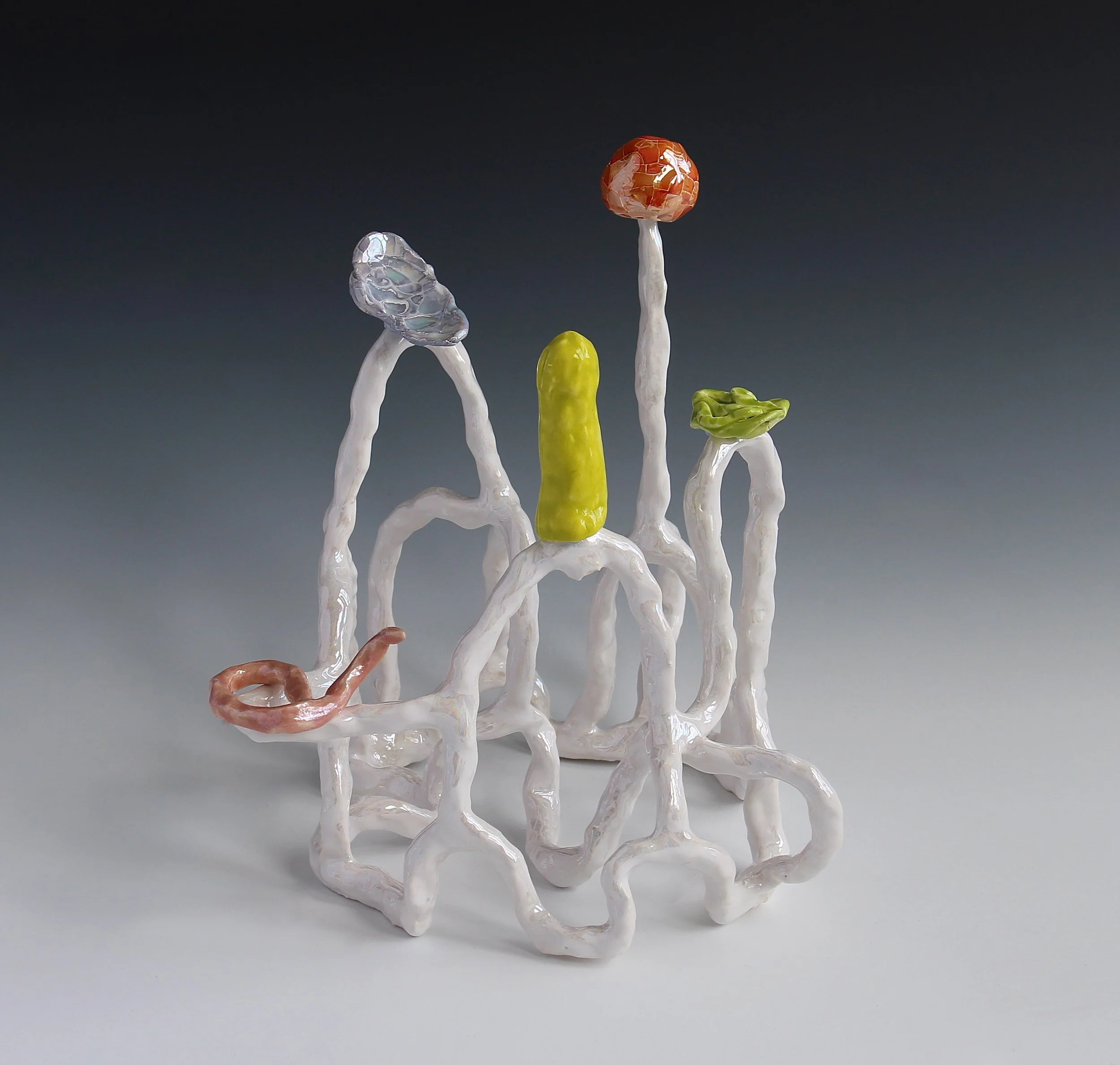 10.. Lynda Draper_TIARA 2 copy 2.jpg