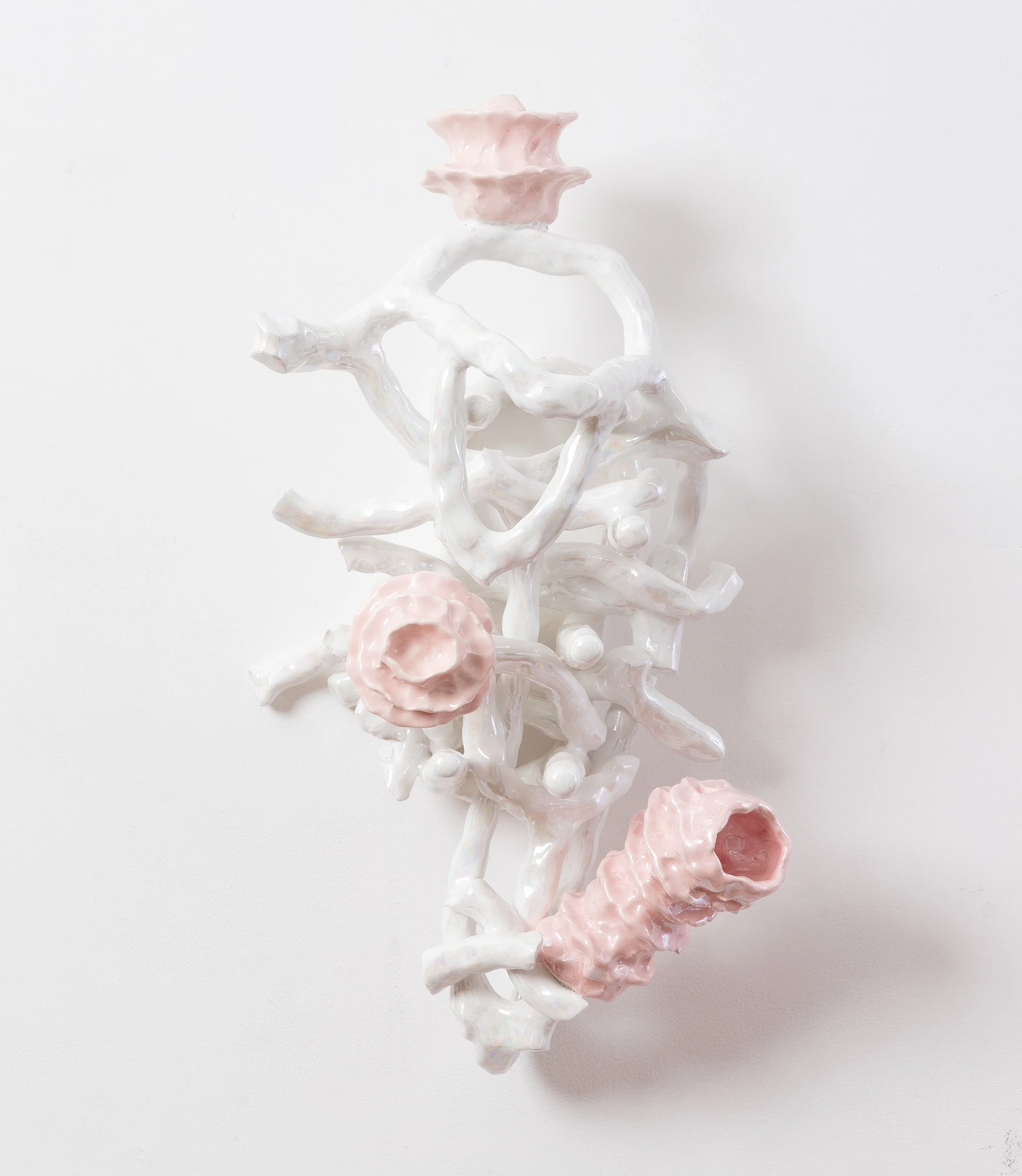 9..LD2024-06 (1)_Tangle II_Photography Simon Hewson.jpg