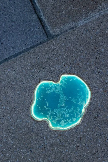 CAC_Lynda Draper Shimmer_019_NicSmith.jpeg