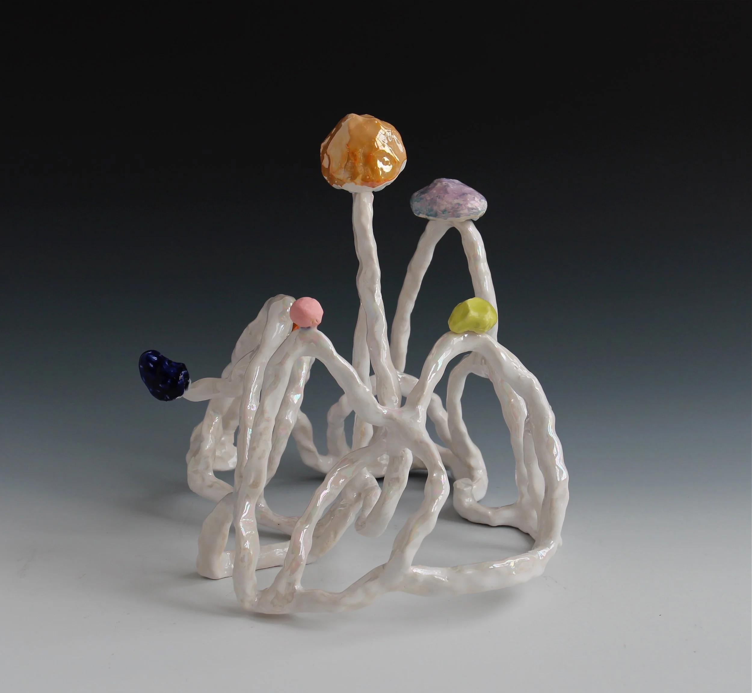 Lynda Draper_Tiara.jpg