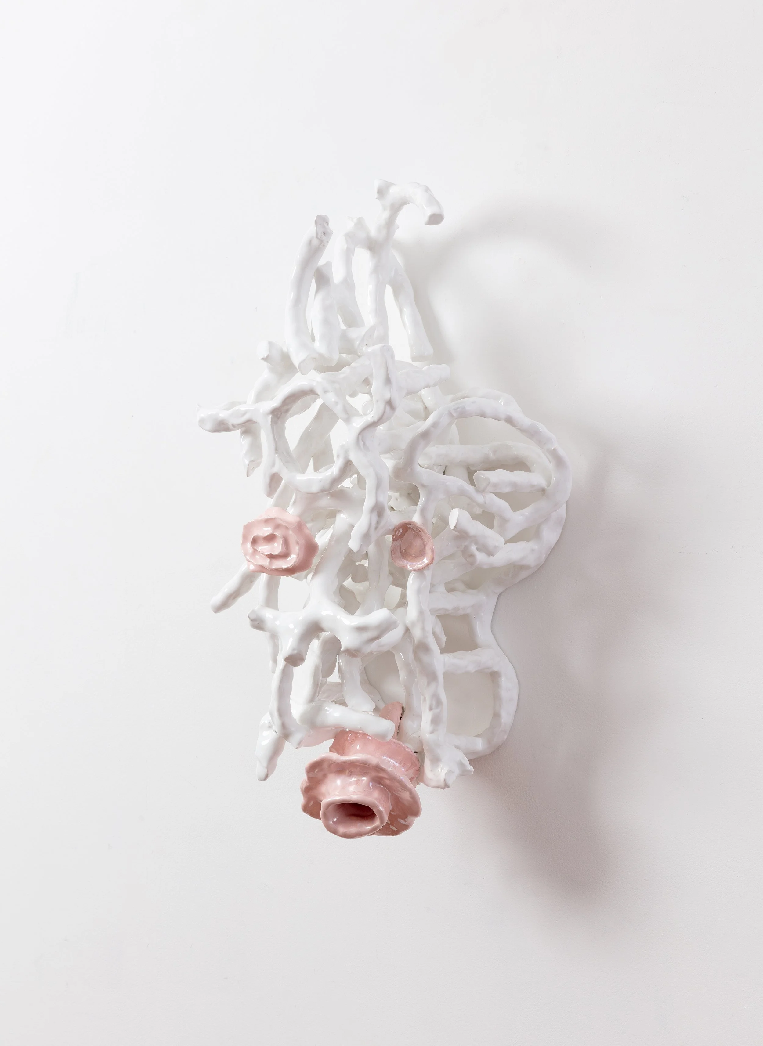 5..LD2024-09 (2)_Tangle I_Photography Simon Hewson.jpg