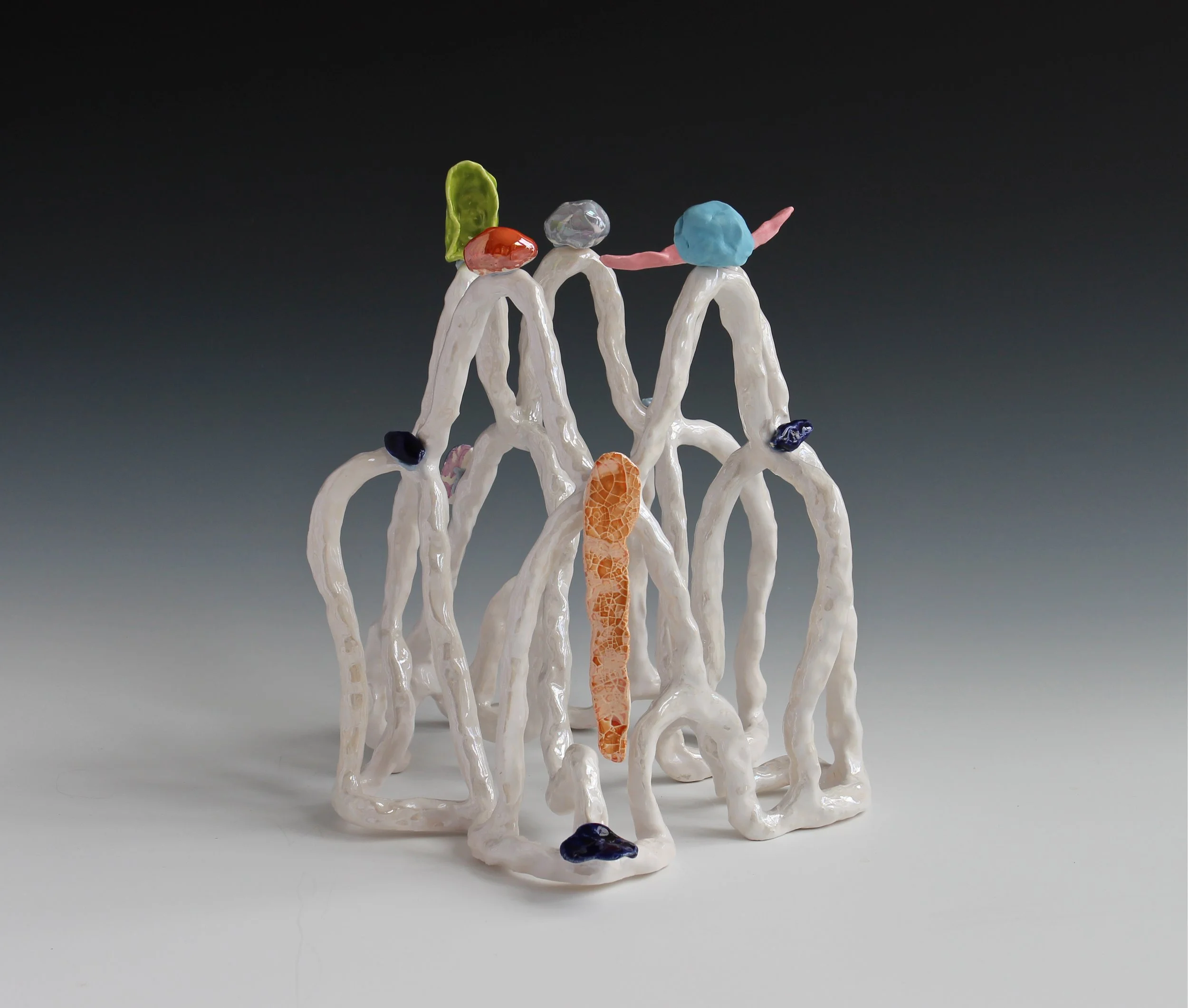 11.Lynda Draper_ TIARA 3 copy.jpg