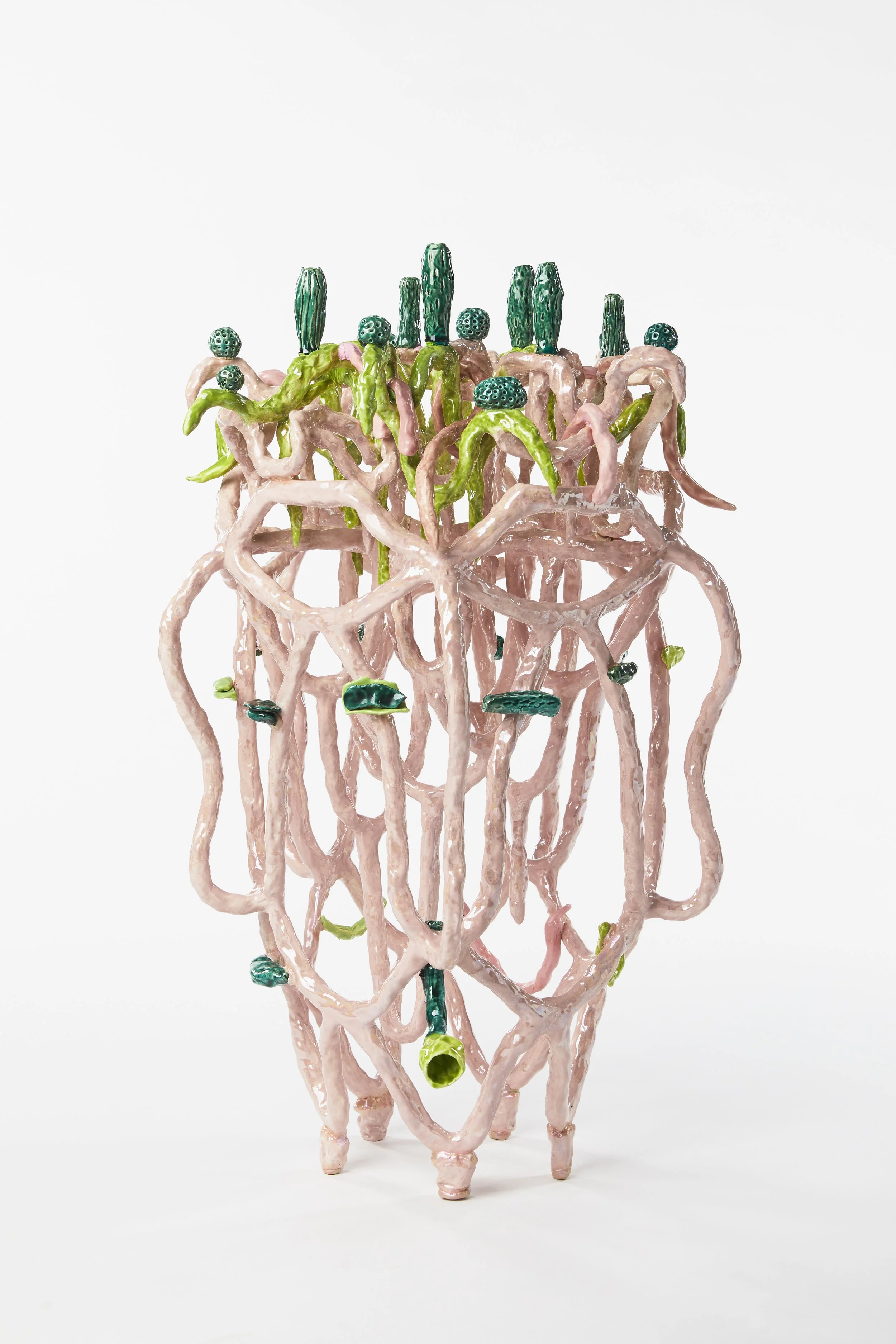 9. L Draper_ 2019_Spring.jpeg