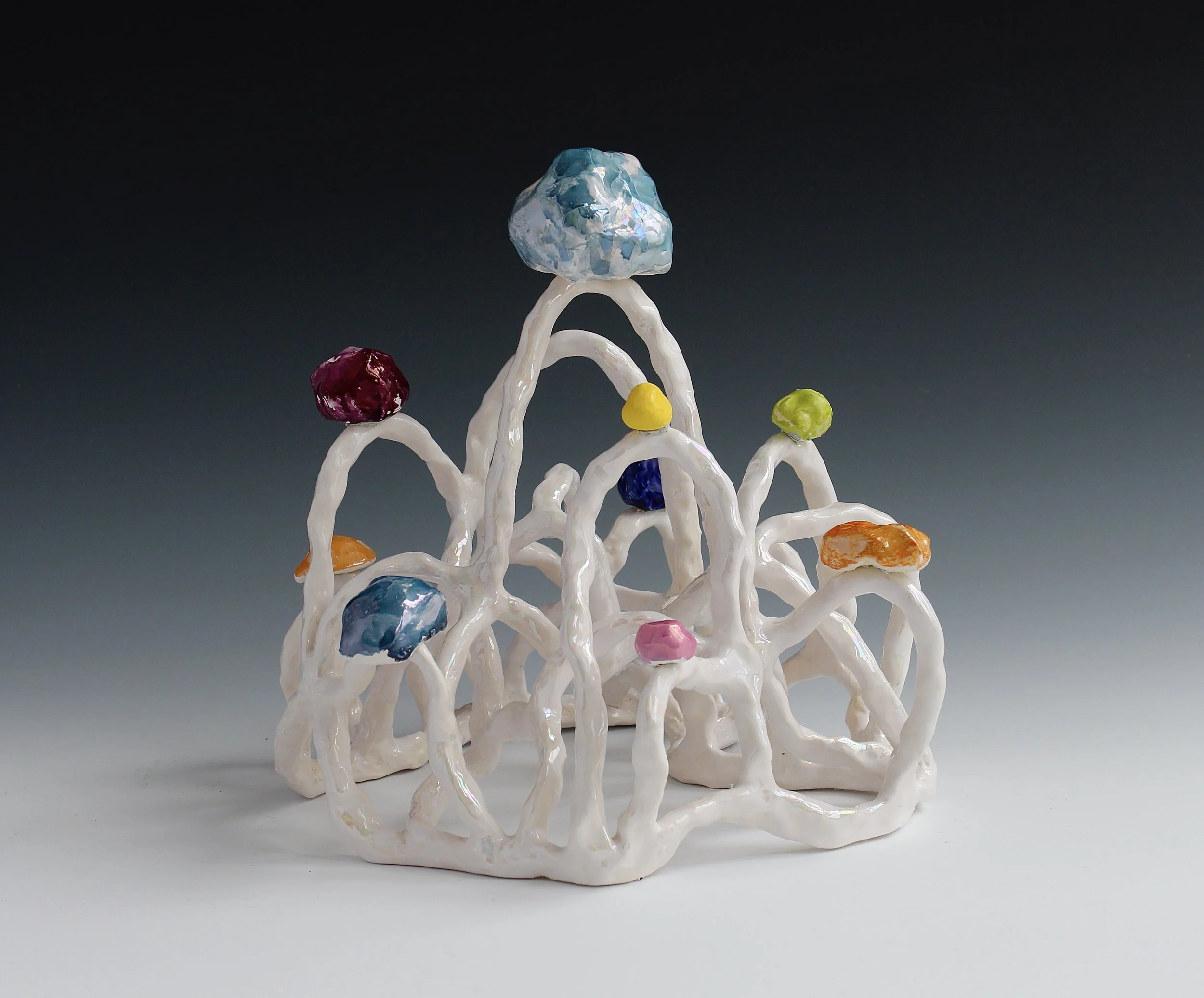 1 a..Lynda Draper_Tiara .jpeg