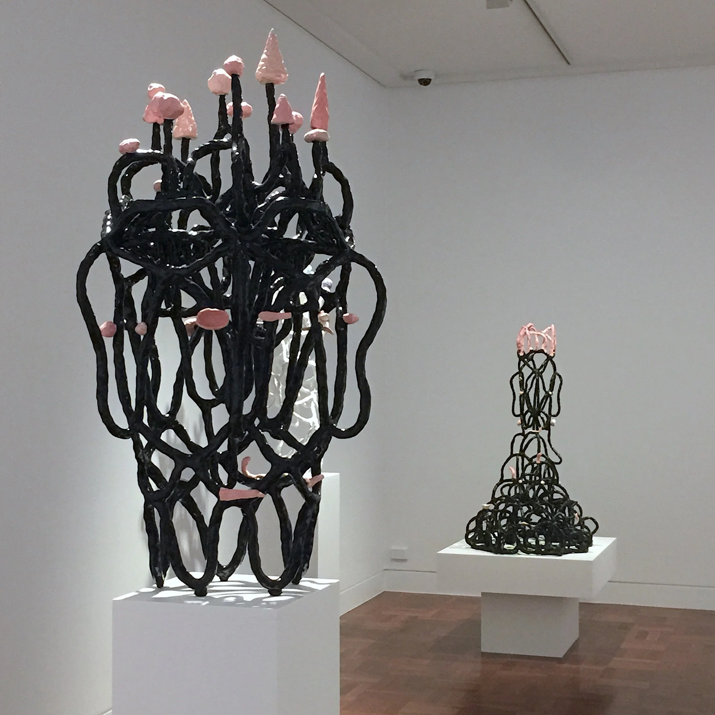 2. LDraper_ SMACA 2019  copy 2.JPG