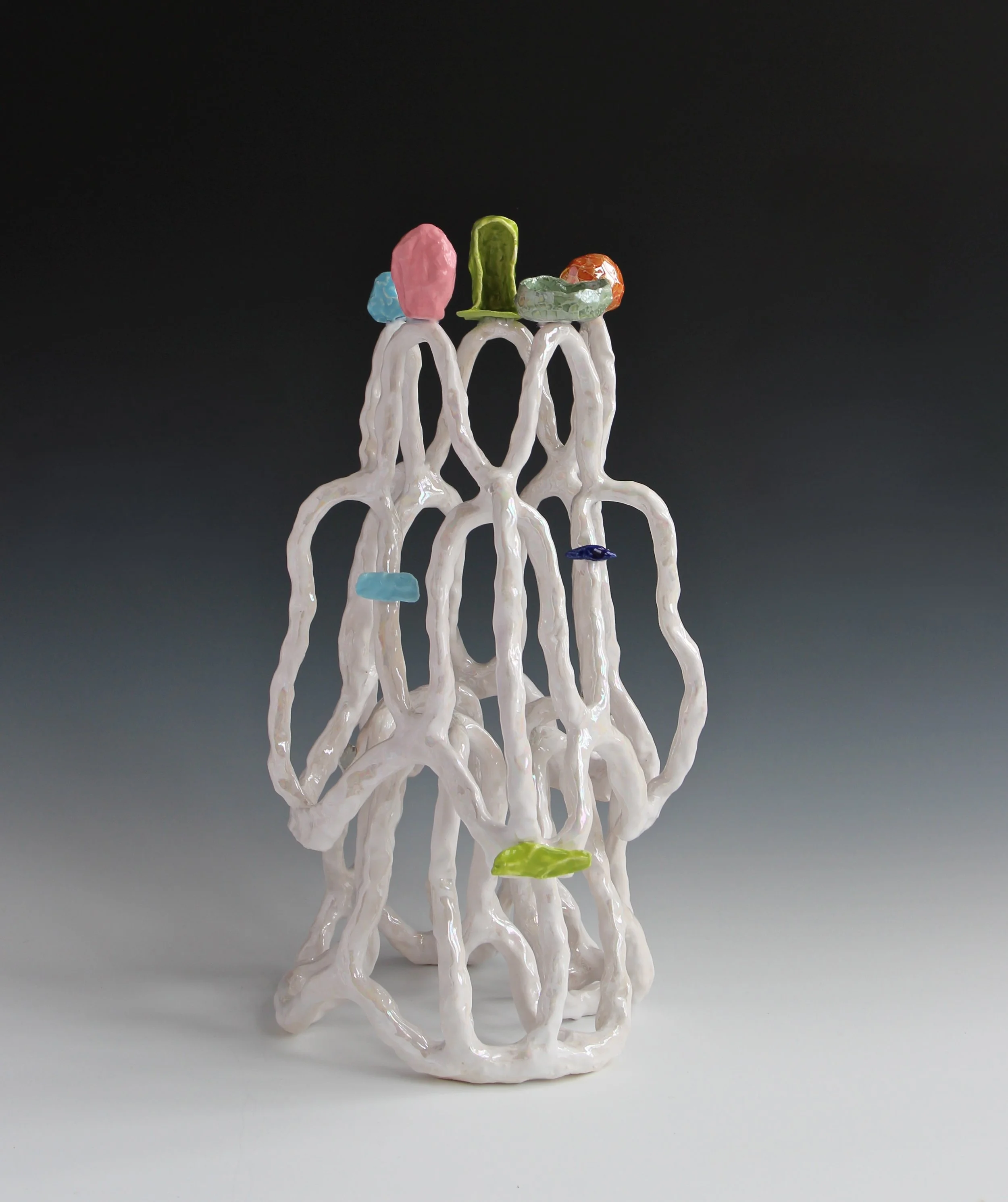 9. Lynda Draper_WHITE LION  copy.jpg