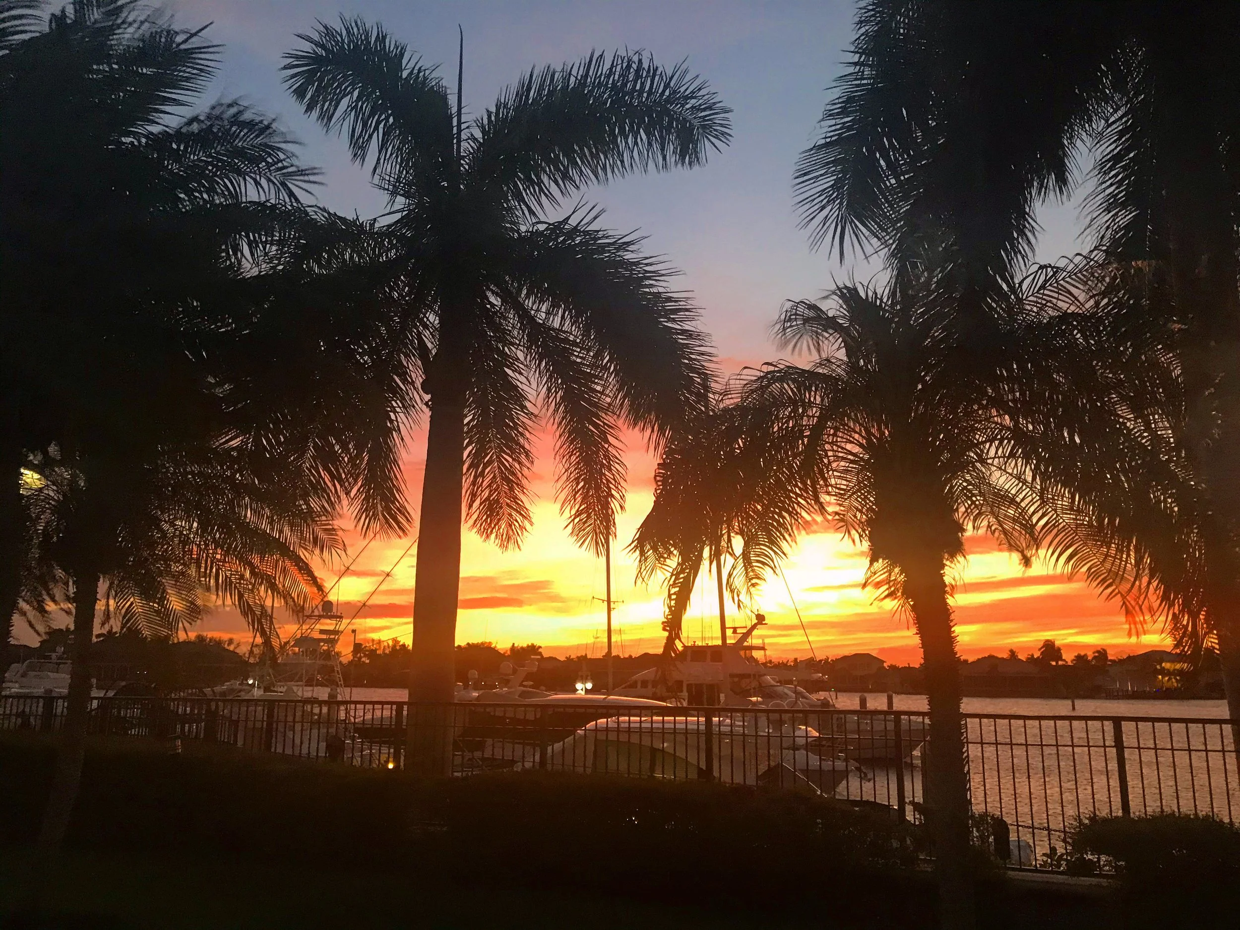 Eliminating  Old  Triggers and  Creating  New Pathways