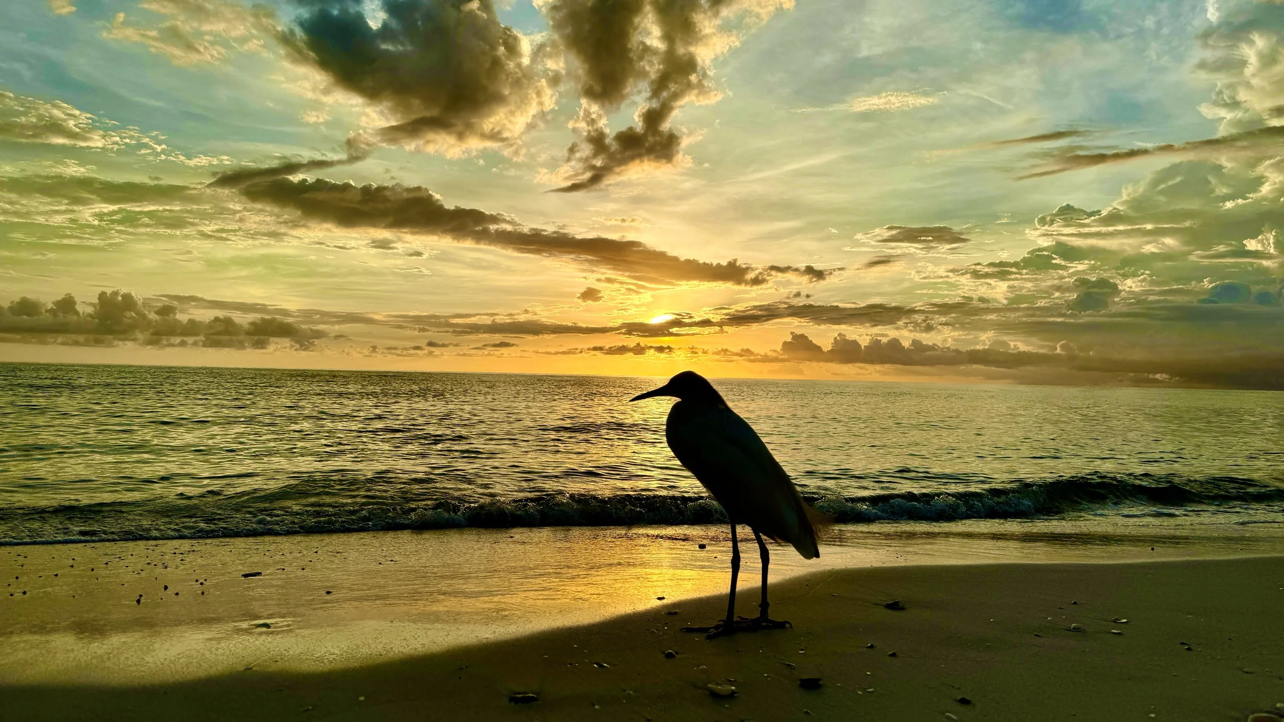 How to support a loved one with addiction