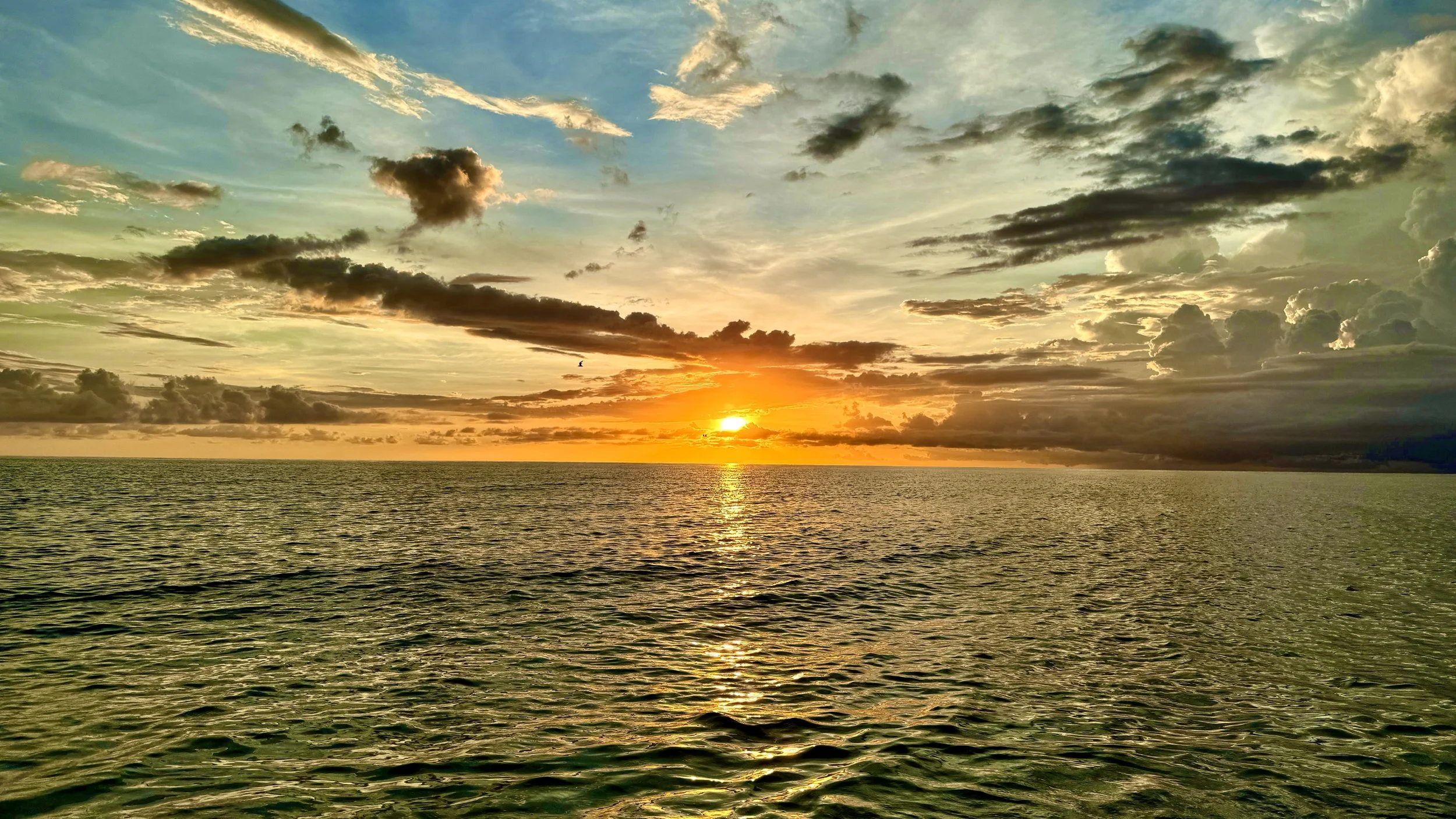 Empathy: Transform Your Relationships and Well-Being Today