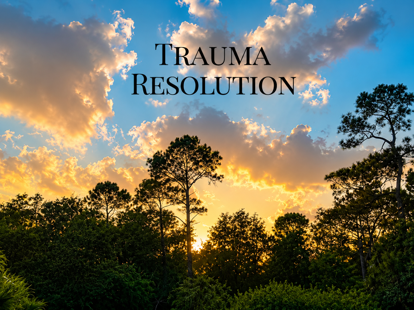 Sunset over a forest with trees and clouds in the sky, text overlay reading 'Trauma Resolution'.