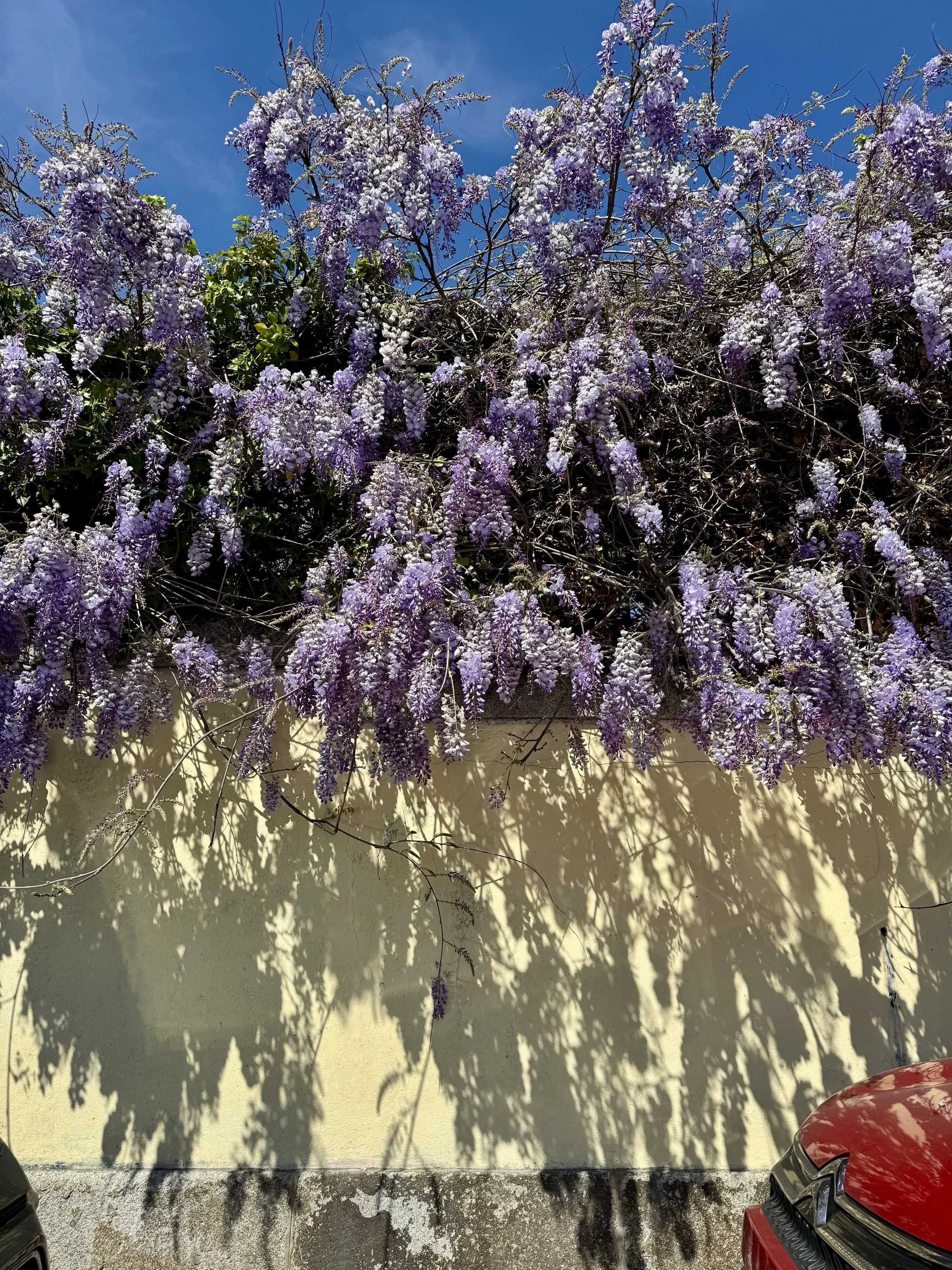 IMG_0697.jpeg