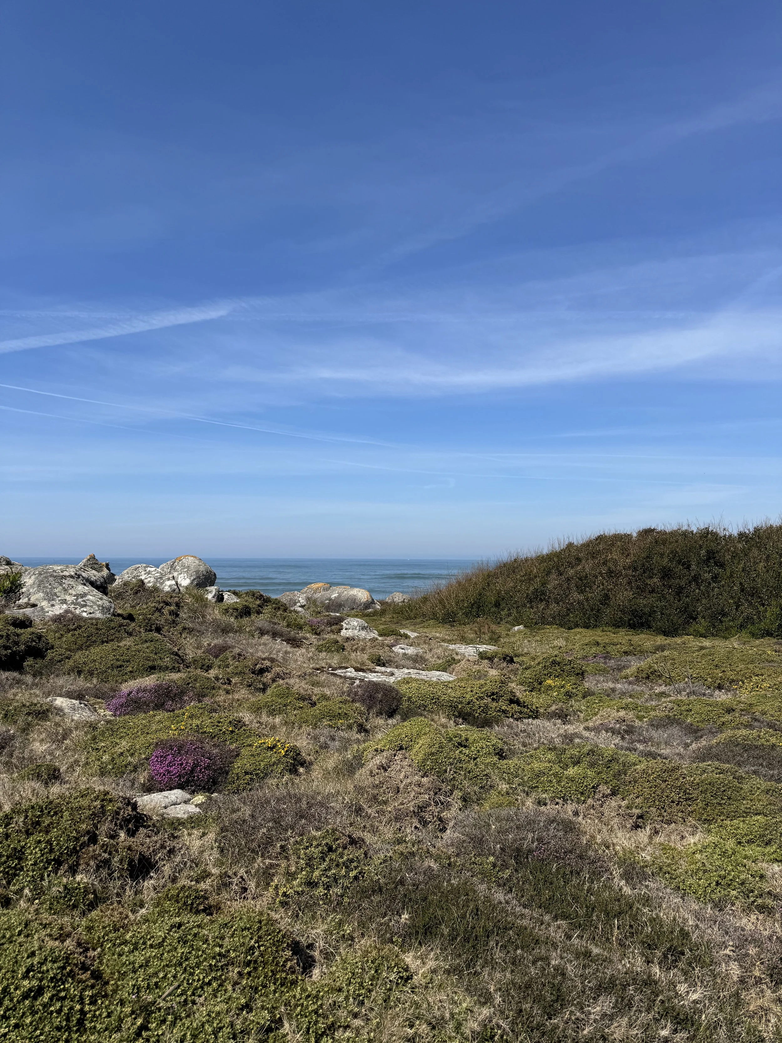 IMG_0968.jpeg