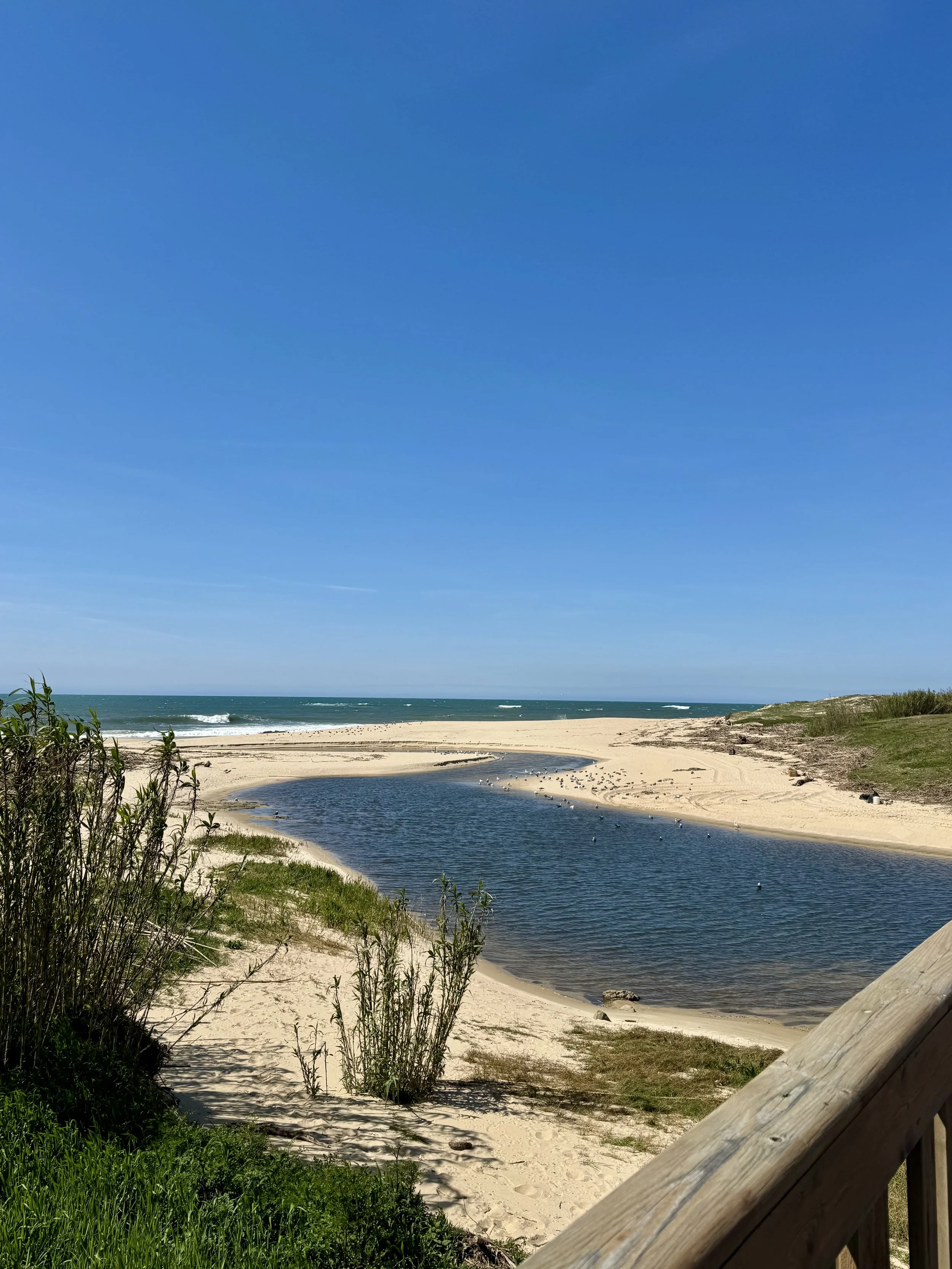 IMG_0738.jpeg