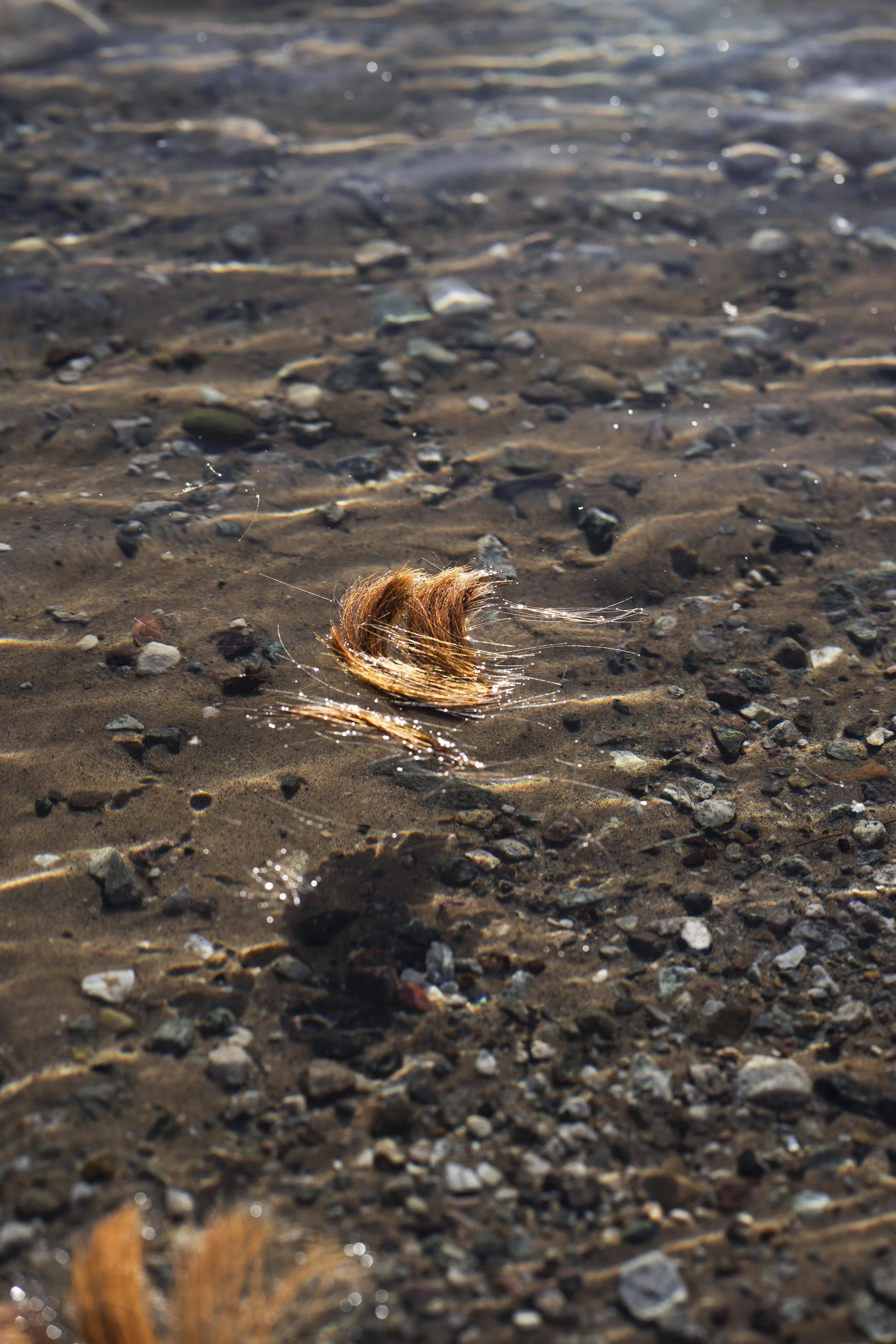leave a piece of myself (the river #3)