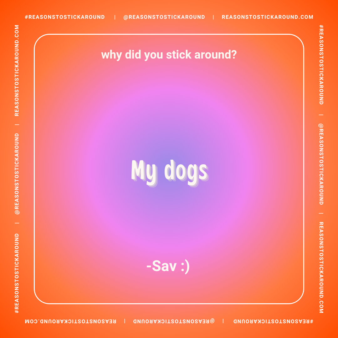 Colorful graphic with a gradient background of pink, purple, and orange. Text in the center says "My dogs" and below it "-Say :)". The top has the question "why did you stick around?" and the border includes the hashtag #REASONSTOSTICKAROUND and soci