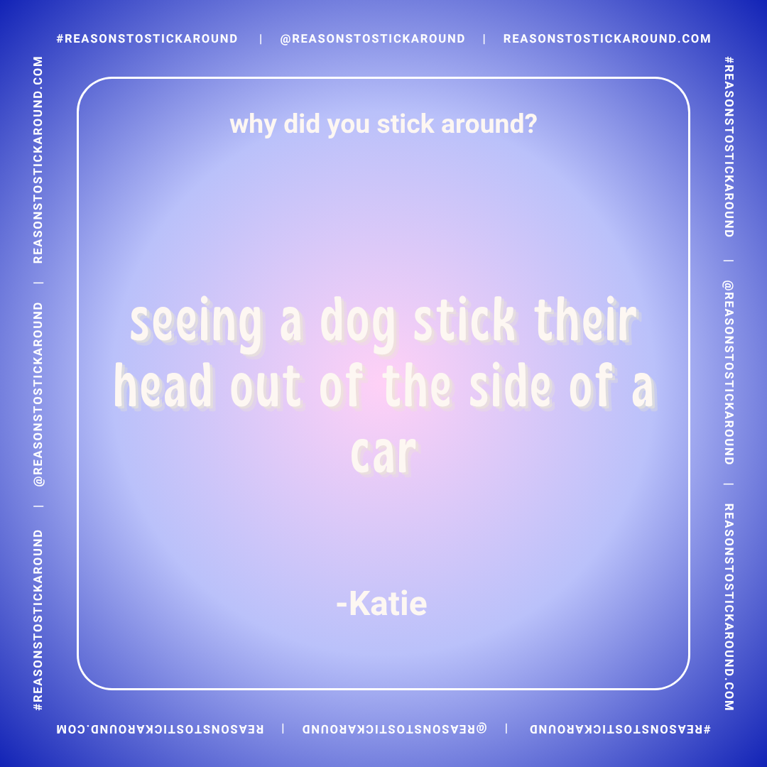 A digital graphic with a purple and blue gradient background featuring a quote about why someone stuck around, specifically because they saw a dog stick its head out of the side of a car. The quote is attributed to Katie and is surrounded by a border