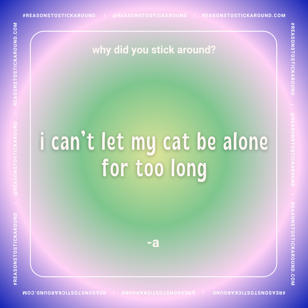 8.1 (3) 2.png