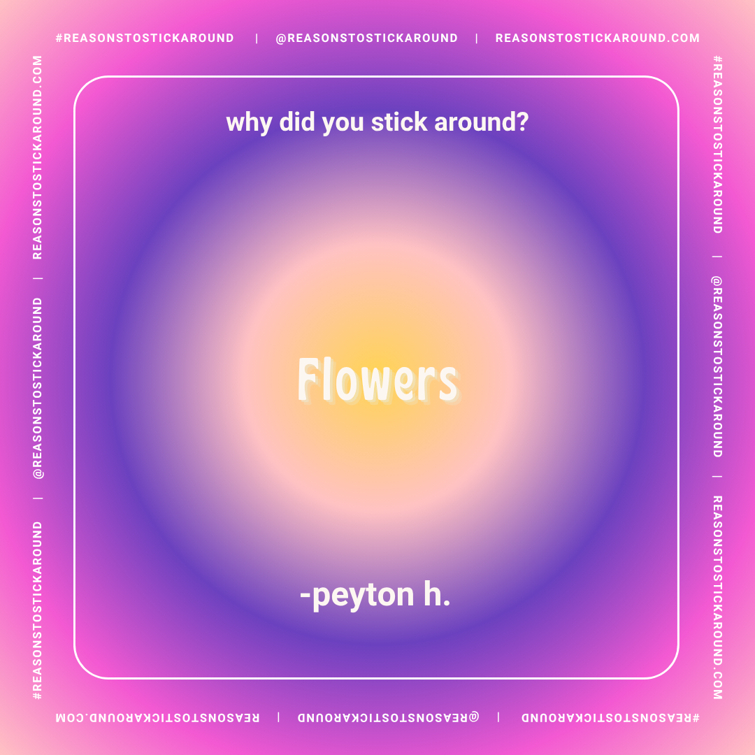 A colorful gradient background with a pun-based joke that reads: "why did you stick around? flowers - peyton h." The text is centered with the punchline "flowers" in larger, bold font, and the question above it in smaller font. There are social media