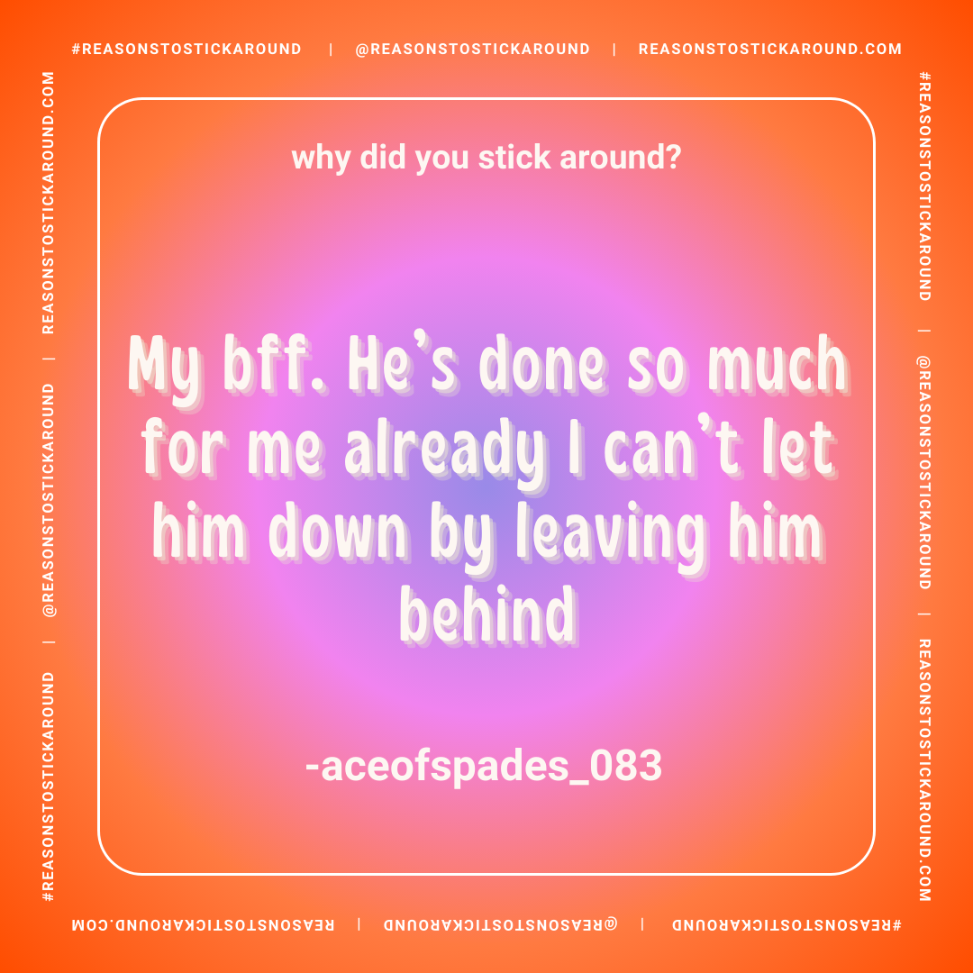 1.1 (2) 3.png