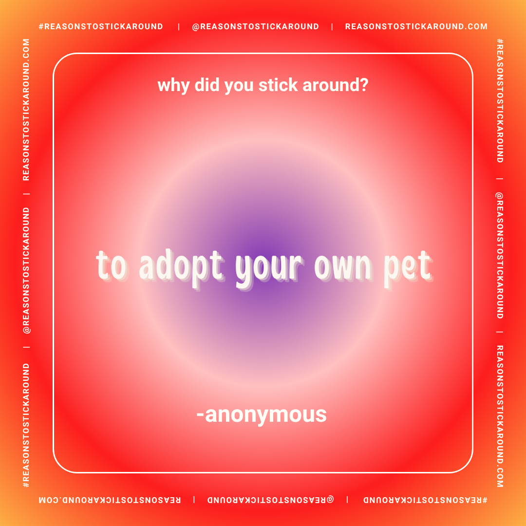 A graphic with a red-to-pink gradient background and a white border. Text in the center reads, "why did you stick around? to adopt your own pet -anonymous" with the social media handle, @REASONSTOSTICKAROUND, and website, REASONSTOSTICKAROUND.COM, re