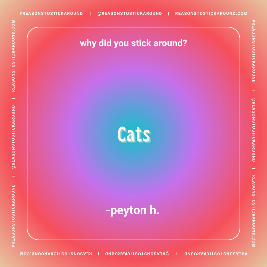 Colorful gradient background with text asking "why did you stick around?" and the answer "Cats" in the center, credited to peyton h., with social media and website information around the border.