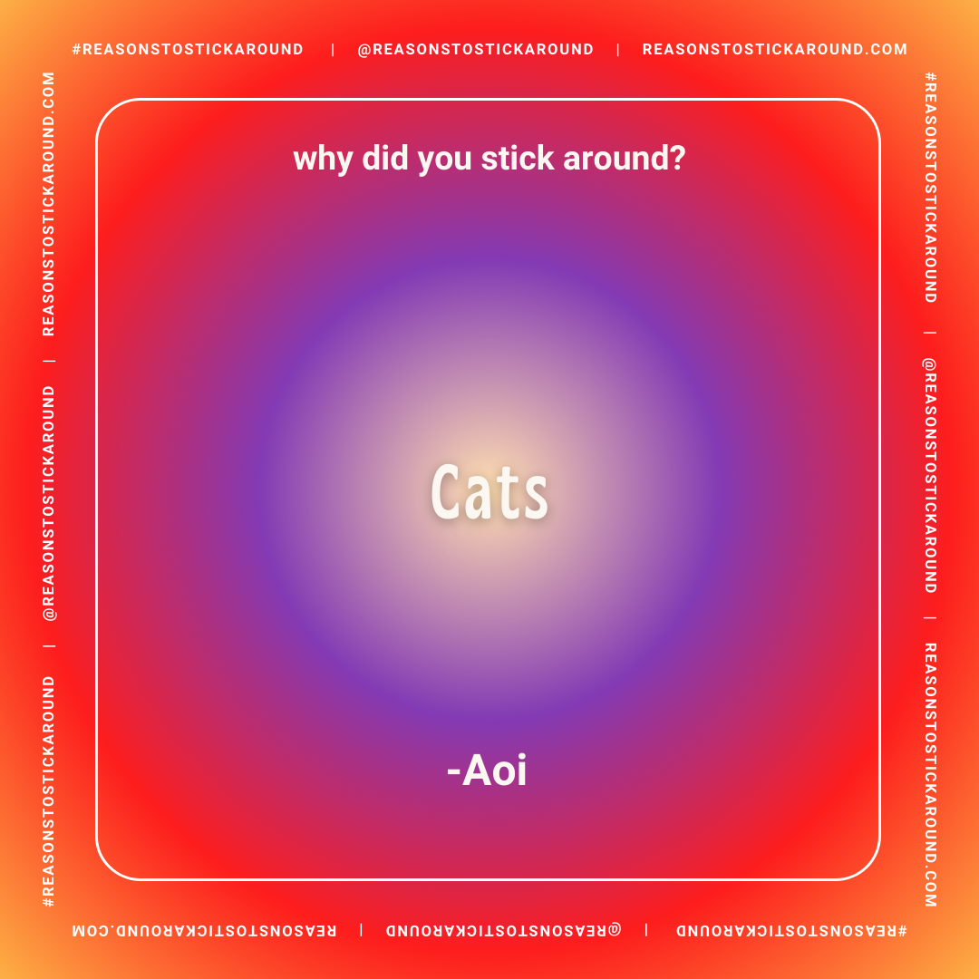 3.1 copy.png