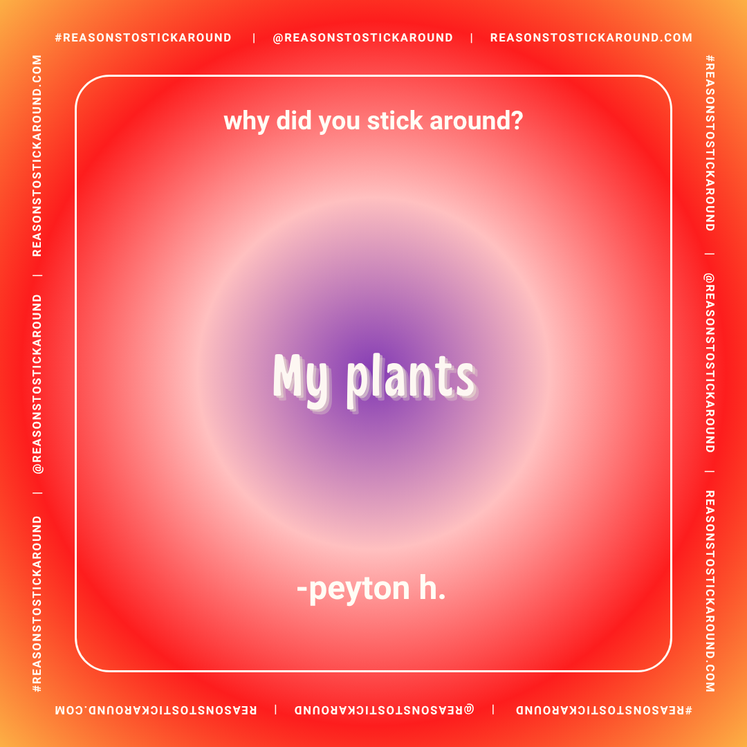 Colorful square graphic with a red and orange gradient background, featuring a white rectangular border with rounded corners. In the center, a purple circle fades into the background. Text at the top reads, 'why did you stick around?' Below the circl