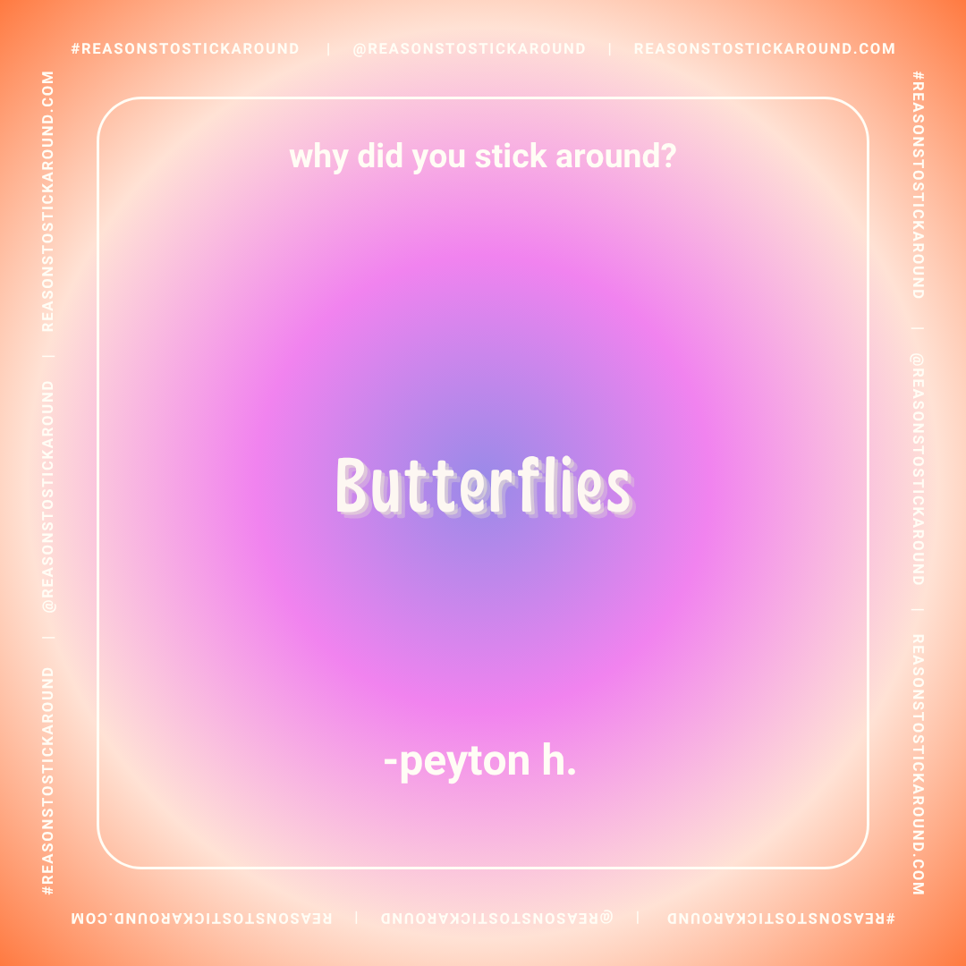 A colorful background with pink, purple, and peach gradient. Text displaying a joke that reads: "Why did you stick around?" at the top, and "Butterflies" in the center with a shadow effect, followed by "-peyton h." at the bottom.