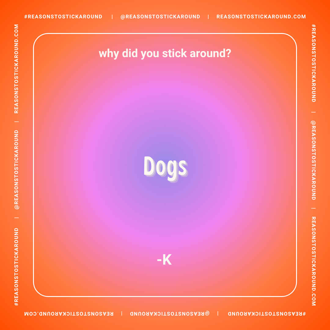 Colorful gradient background with the question 'why did you stick around?' at the top. Text in the center saying 'Dogs' and '-K' beneath it. White border with website and social media information around the edges.