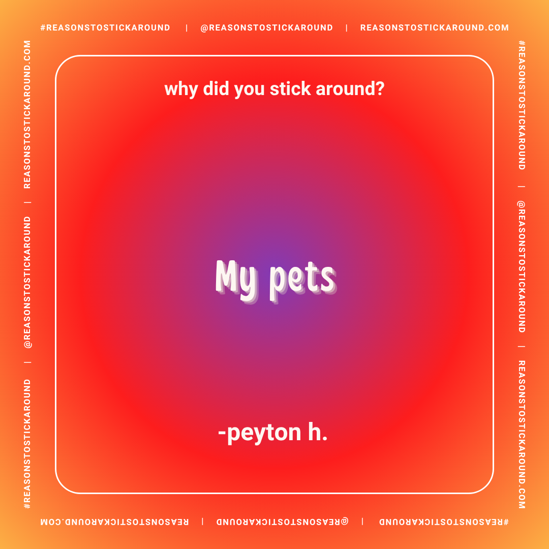 Colorful graphic with red, purple, and orange gradient background displaying a quote in white text: "Why did you stick around?" and a punchline in larger bold text: "My pets" with attribution "- peyton h."