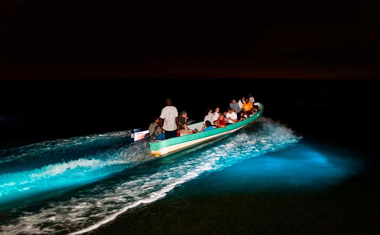 A small boat at night with people onboard cruising through bioluminescent waters, creating a glowing blue trail.