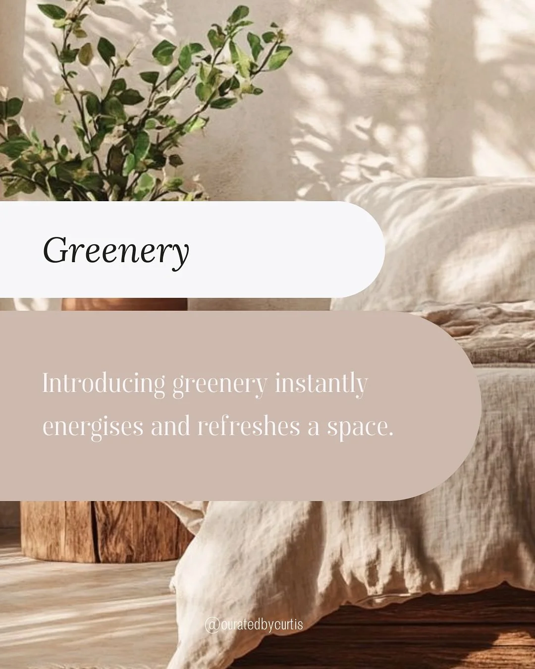 Greenery instantly transforms a room, adding depth, colour and a touch of serenity. From bold fiddle-leaf figs, delicate trailing ivy, or handpicked blossoms, plants are the ultimate styling tool for breathing life into interiors. 

A curated mix of 